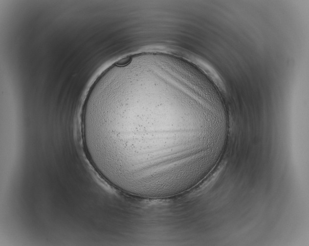 X0000111940808200908101201