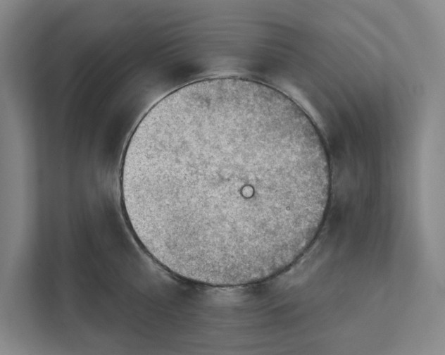 X0000111940810200908101200