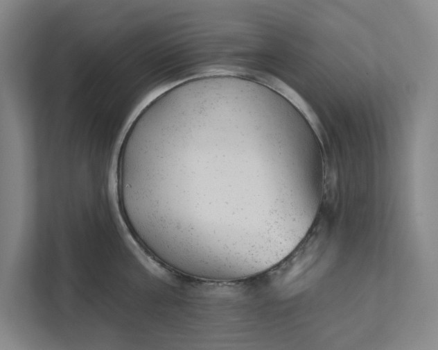 X0000111940811200908101200