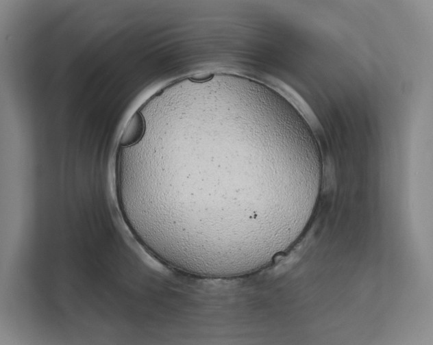 X0000111940812200908101200