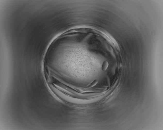 X0000111940813200908101200