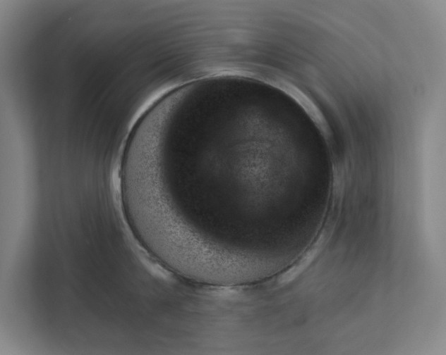 X0000111940814200908101200