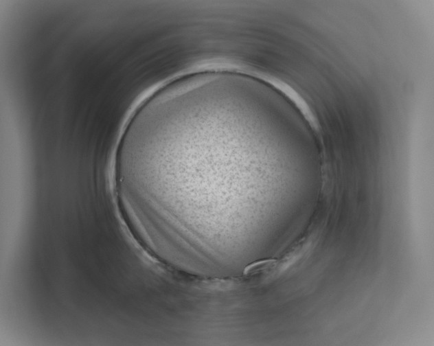 X0000111940815200908101200