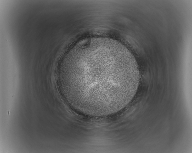 X0000111940817200908101200