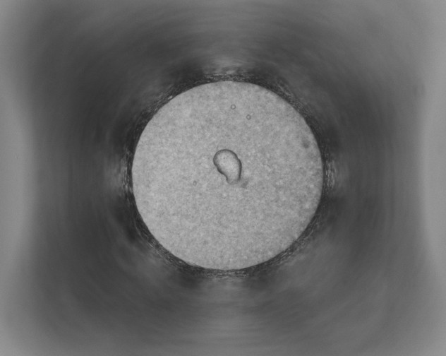 X0000111940820200908101200