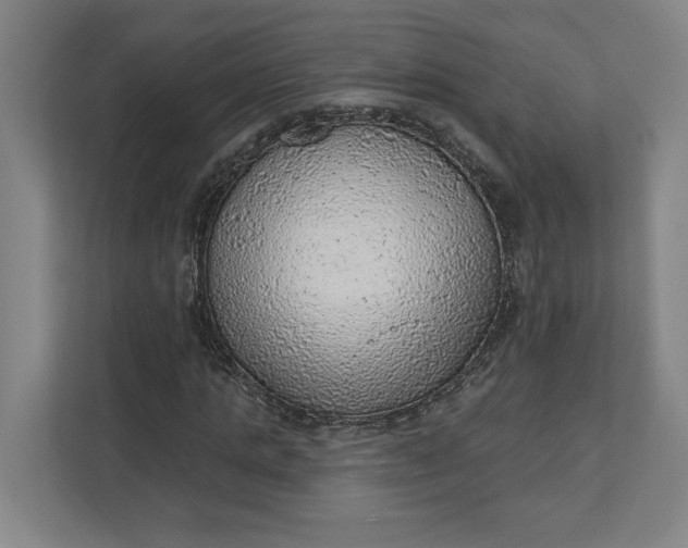 X0000111940821200908101200