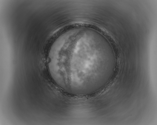 X0000111940822200908101200