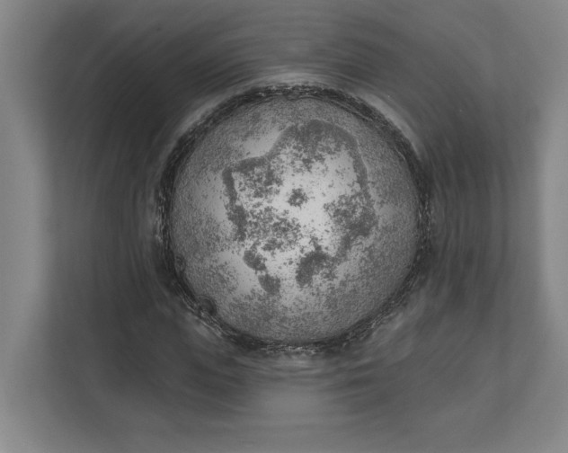 X0000111940823200908101200