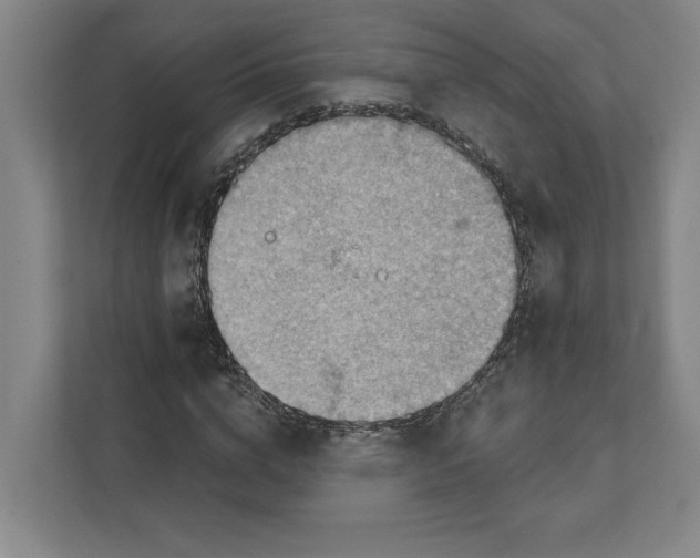 X0000111940824200908101200