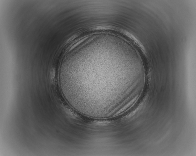 X0000111940825200908101200