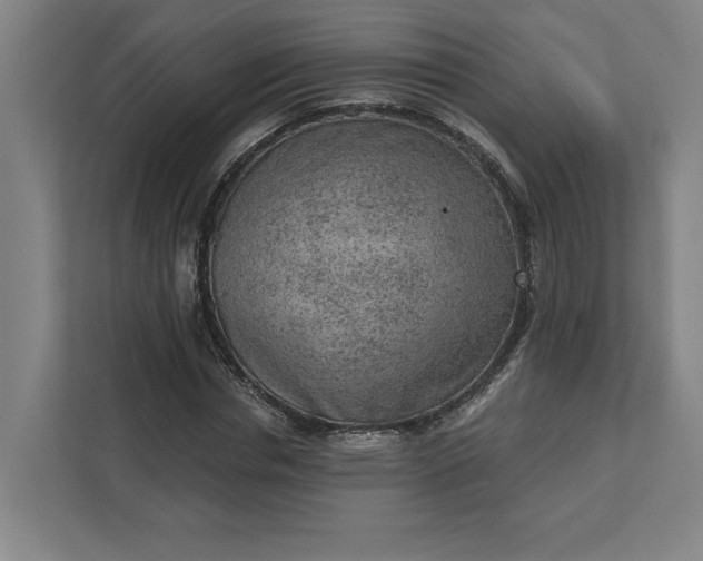 X0000111940826200908101200