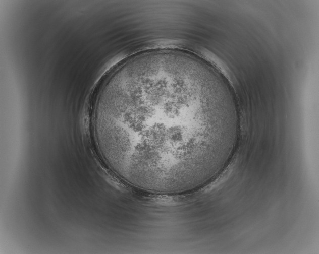 X0000111940827200908101200