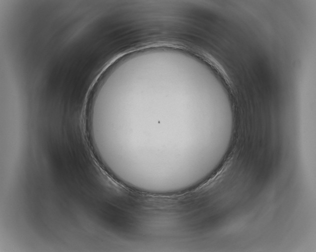 X0000111940828200908101200