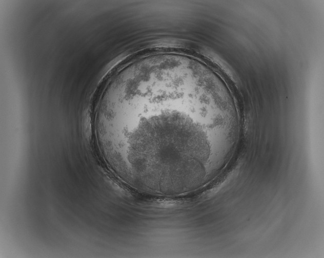 X0000111940829200908101200