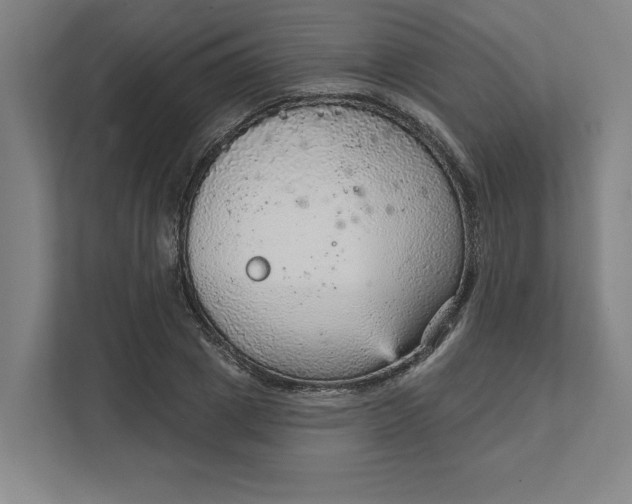 X0000111940833200908101200