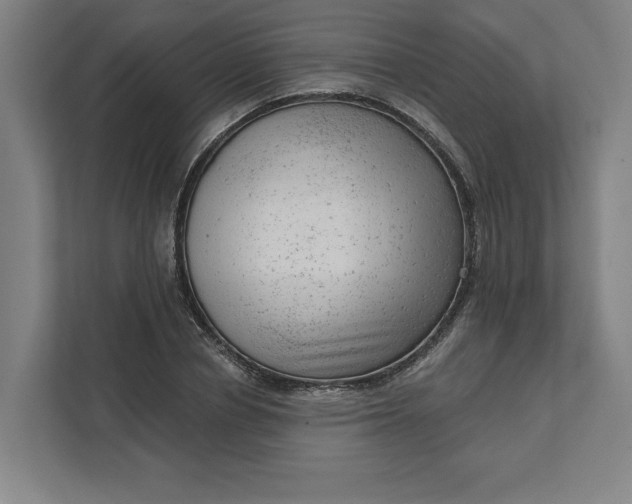 X0000111940834200908101200