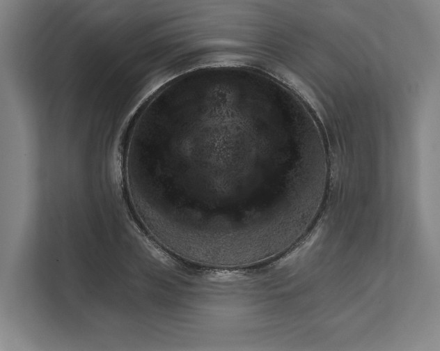 X0000111940835200908101200