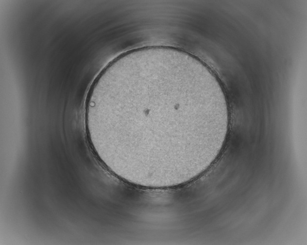 X0000111940836200908101200