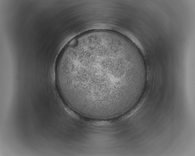 X0000111940837200908101200