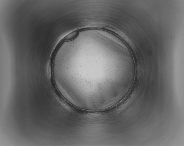 X0000111940838200908101200