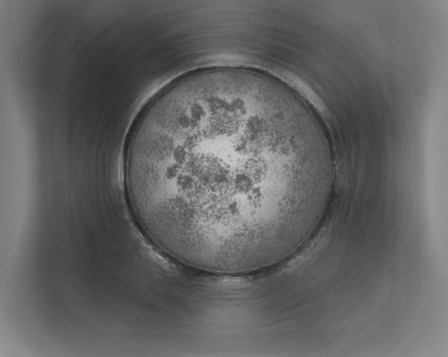 X0000111940839200908101200