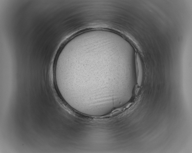 X0000111940840200908101200