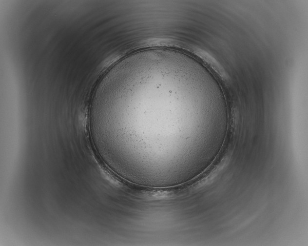 X0000111940841200908101200