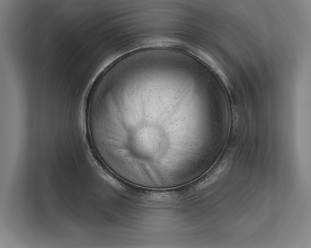 X0000111940843200908101200