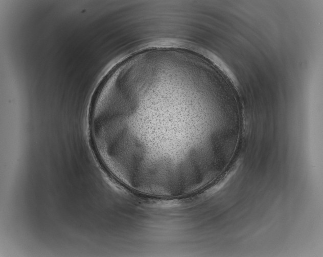 X0000111940845200908101200