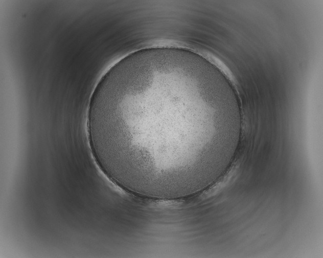 X0000111940847200908101200