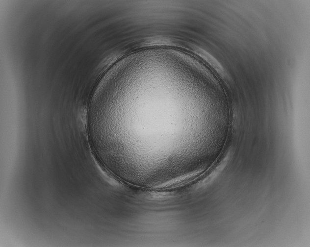 X0000111940849200908101200