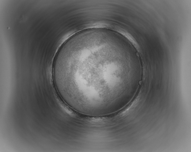 X0000111940850200908101200