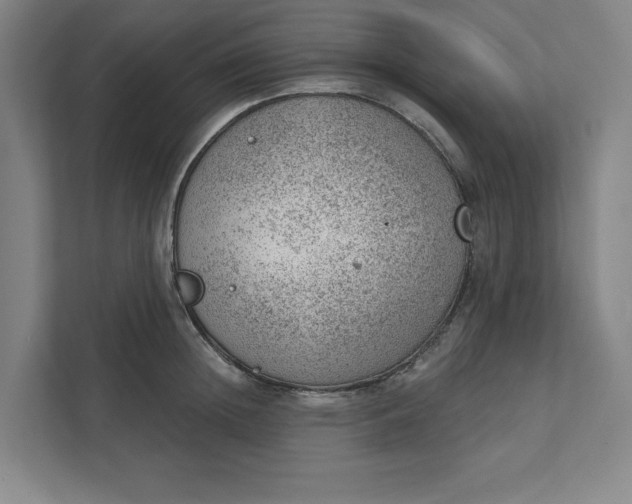 X0000111940852200908101200