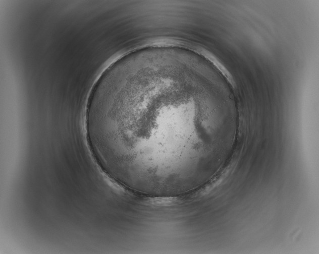 X0000111940853200908101200