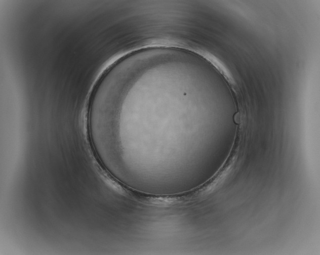 X0000111940854200908101200