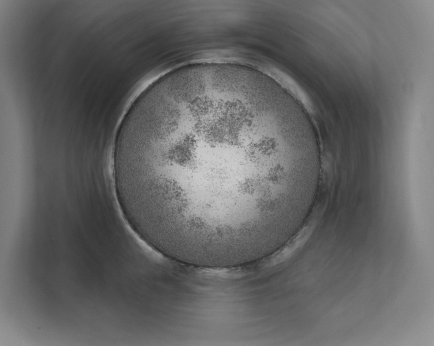 X0000111940855200908101200