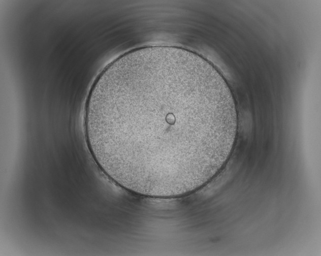 X0000111940856200908101200