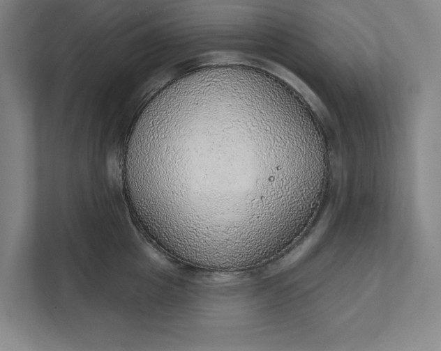 X0000111940857200908101200