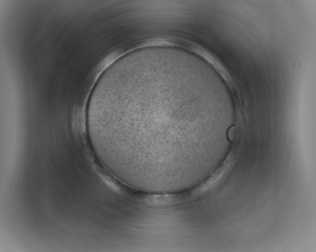 X0000111940858200908101200