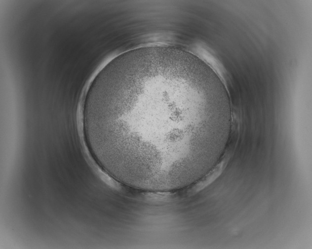 X0000111940859200908101200