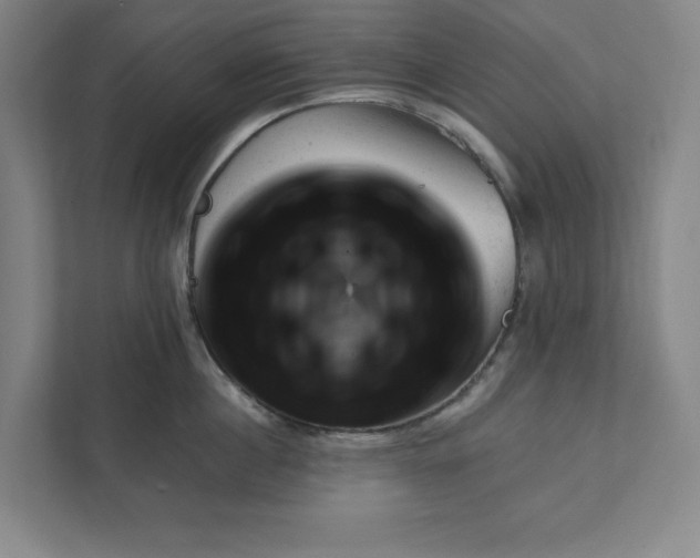 X0000111940860200908101200