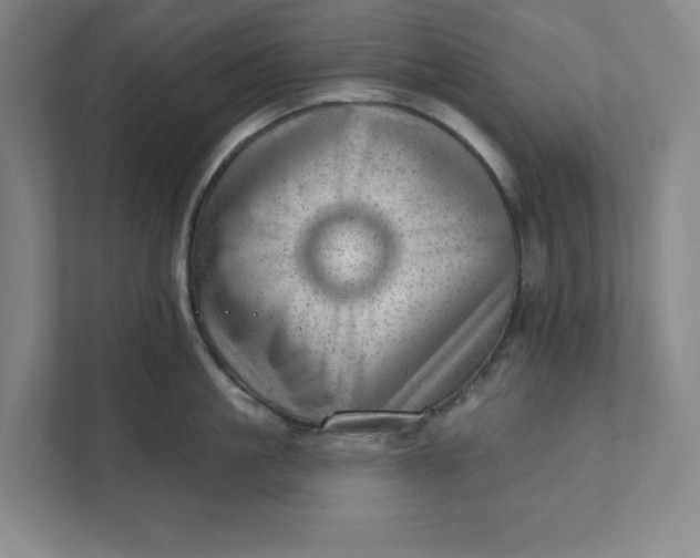 X0000111940861200908101200