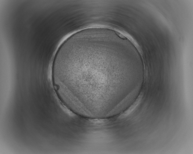 X0000111940862200908101200