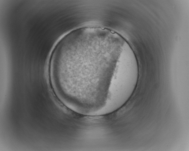 X0000111940864200908101200