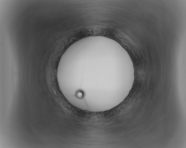 X0000111940865200908101200