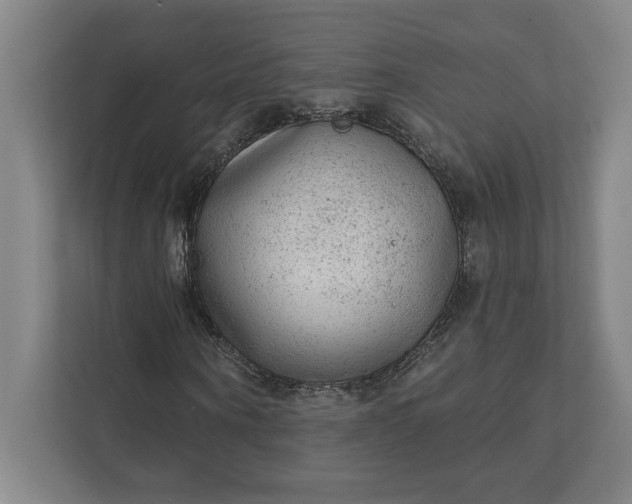 X0000111940866200908101200