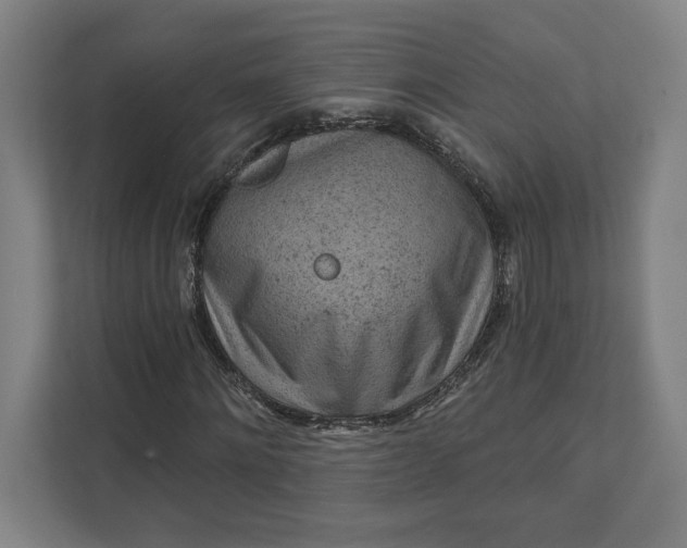 X0000111940868200908101200