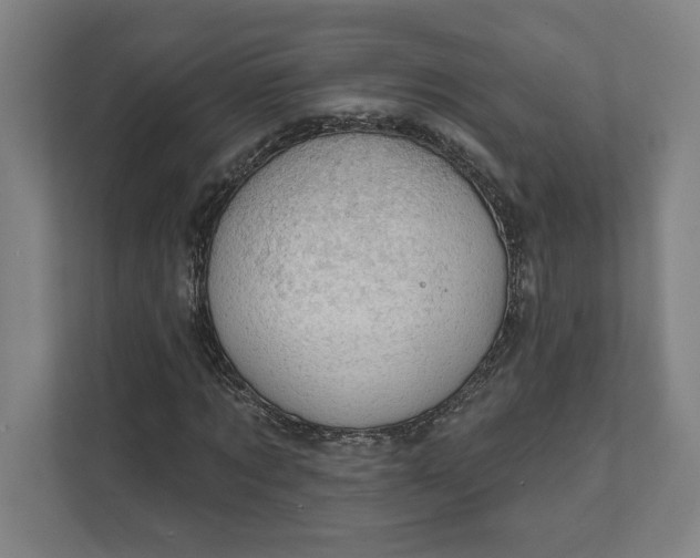 X0000111940869200908101200