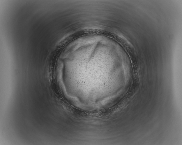 X0000111940870200908101200