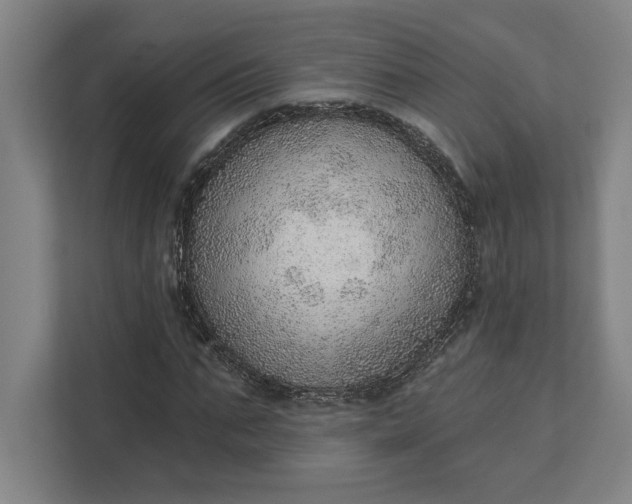 X0000111940871200908101200